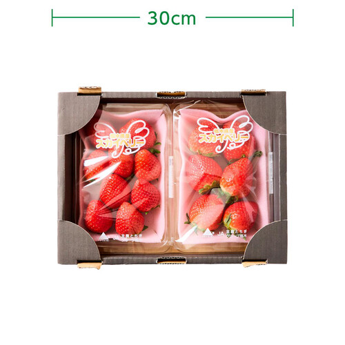栃木県産 いちご(スカイベリー) 箱 270g 2パック入 1パック当たり6～12