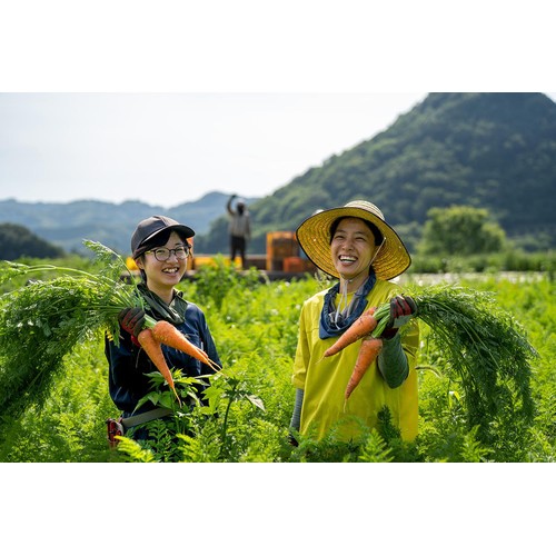 【有機】無茶々園 有機切り干し人参 25g