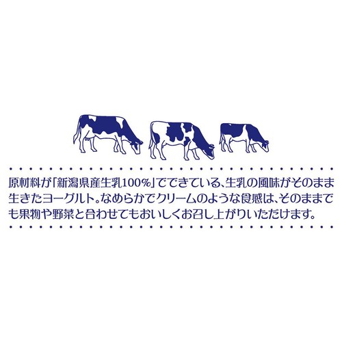 ヤスダヨーグルト 生乳100%プレーンヨーグルト 600g