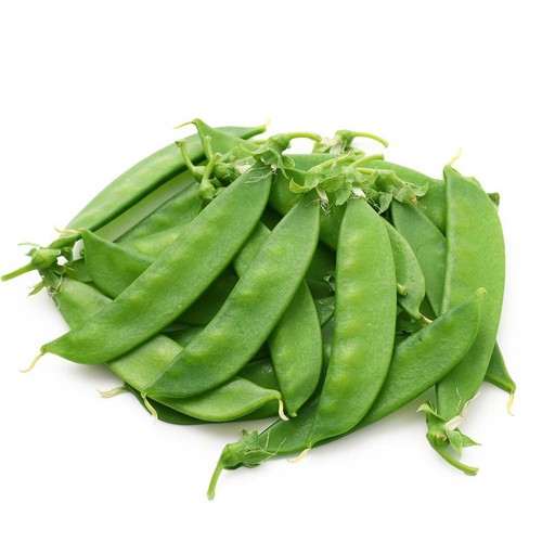 国内産 きぬさや 30g 1パック Green Beans | グリーンビーンズ
