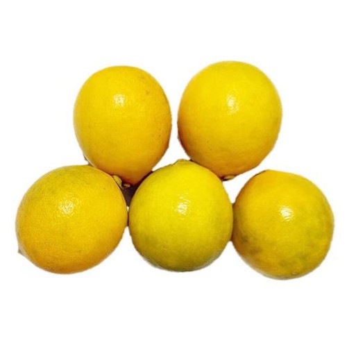 熊本県産 味咲のマイヤーレモン 500g 5個 Green Beans | グリーン