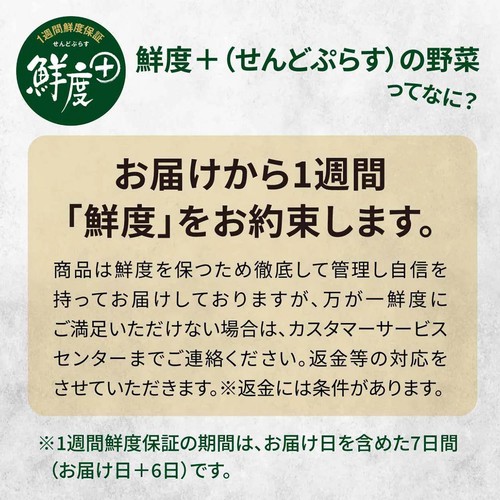 鮮度+］長野県産ミスズライフ そのまま使える里山ぶなしめじ 500g 1袋