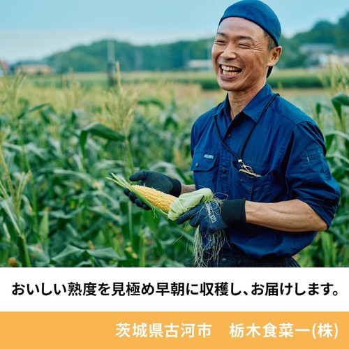 ［食べごろ+］茨城県産 とうもろこし 4本入 1袋