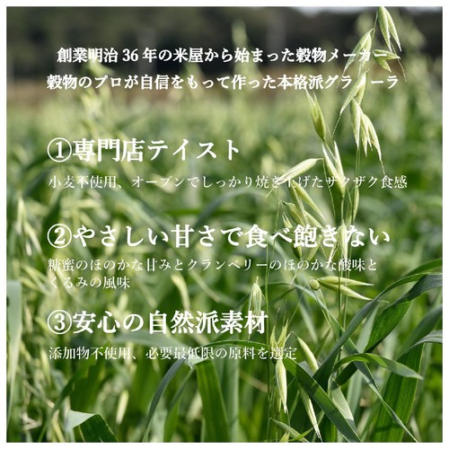 ライスアイランド THE GRANOLA ORIGINAL 200g