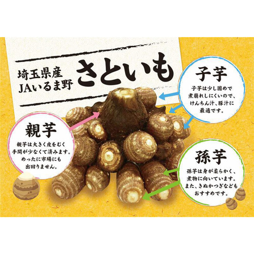 埼玉県産 素洗いさといも(孫芋) 400g 4個 Green Beans | グリーン