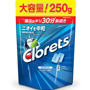クロレッツ オリジナルミント 250g 24袋 本日限定価格 クロレッツXP オリジナルミント スタンドパウチ ( 250g