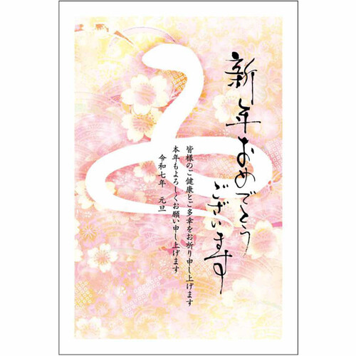 年賀はがき5枚入り お年玉付き年賀状パック 令和7年巳年 特選フルカラー FPー12