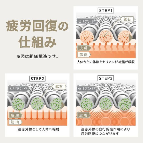 EXセリアント ウェア ルームウエア（ルーム長袖Tシャツ） 婦人 ライトブルー L トップバリュ