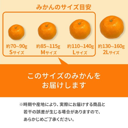愛媛県産真穴地区 みかん S-Lサイズ 600g 1パック トップバリュ Green