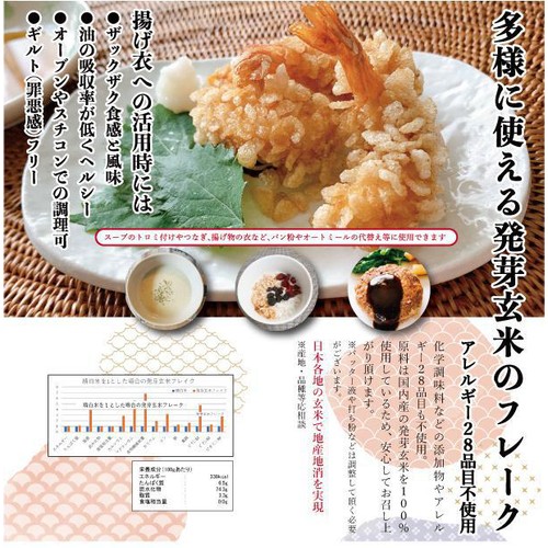 発芽玄米 ザックザク発芽玄米フレーク 100g