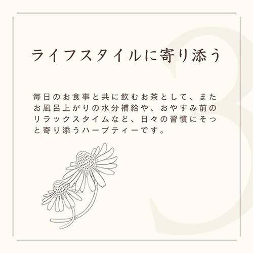 生活の木 私の30日茶 おやすみ前のカモマイルブレンド 7個入