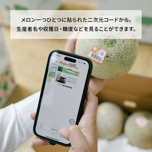 ［食べごろ+］茨城県産 糖度の見えるメロン(青肉) 900g 1個