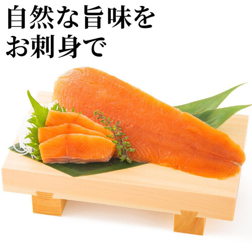 【冷凍】北海道産 さくらます(お刺身サーモン)  半身 1枚