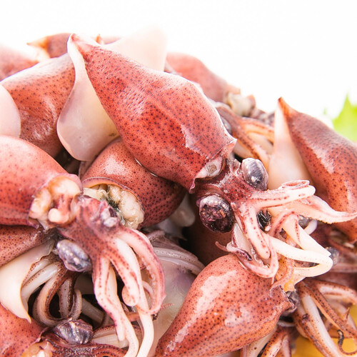 冷凍】富山産 釜上げほたるいか 80g Green Beans | グリーンビーンズ