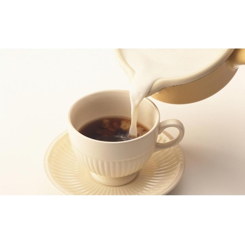HOMER カフェオレベース 無糖 珈琲専門店用 500ml