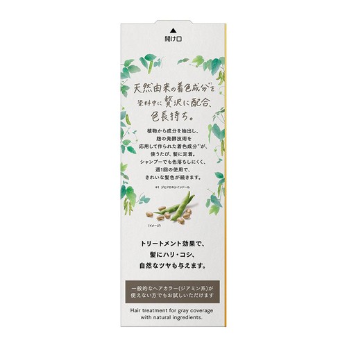花王 ブローネリライズ ナチュリラ 色長持ちカラートリートメント アッシュブラウン 本体 155g