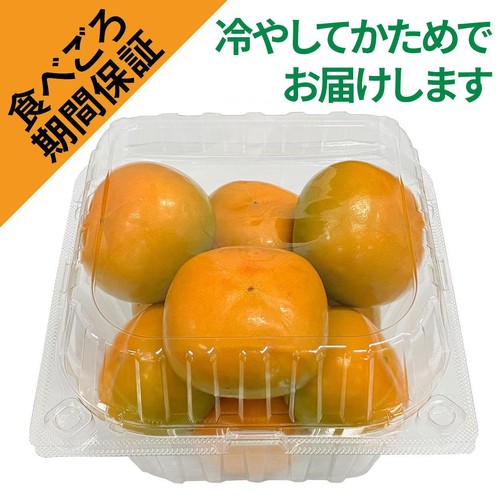 ［食べごろ+］和歌山県 果肉しっかり理由あり たねなし柿(かため) 1.5Kg