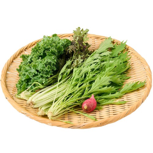 野菜 有機】福島県産 おまかせサラダ野菜セット 4種 150g Green Beans