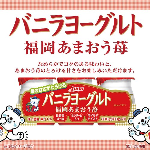 日本ルナ バニラヨーグルト 福岡あまおう苺 100g x 3個