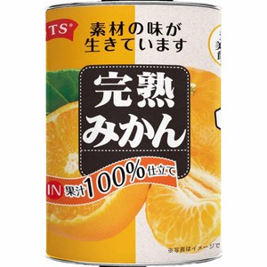三洋通商 果汁100%仕立て 完熟みかん4号缶 425g Green Beans 三洋通商 果汁100%仕立て 完熟みかん4号缶 425g Green Beans