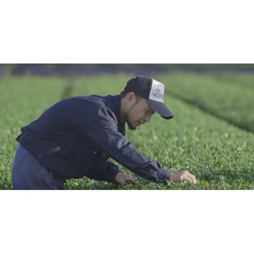 水宗園本舗 鹿児島産 有機栽培 赤烏龍茶ティーバッグ 60g(3g x 20袋)