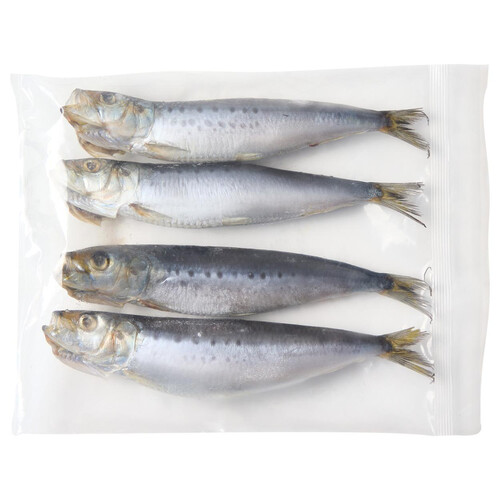 冷凍】 千葉県銚子産 真いわし丸干し 4尾 Green Beans | グリーン