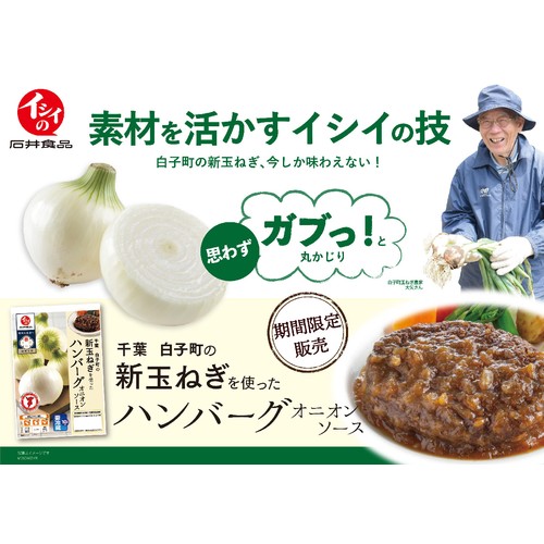 石井食品 千葉白子町の新玉ねぎを使ったハンバーグ【冷蔵】 170g