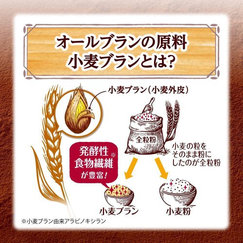 日本ケロッグ オールブランブランチョコフレーク 350g