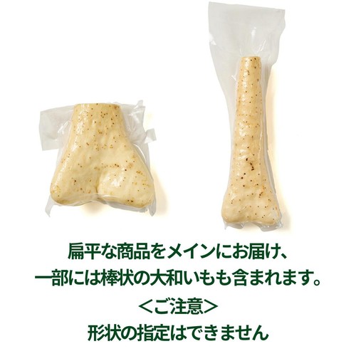 埼玉県産 大和いも 300g 1本