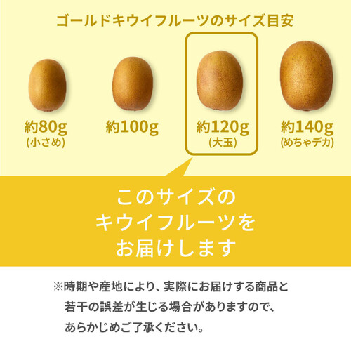 ［食べごろ+］【有機】ニュージーランド産ゼスプリ サンゴールドキウイフルーツ 大玉 6個 720g