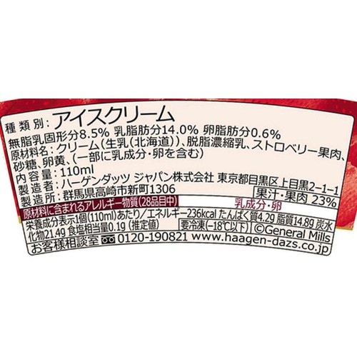 ハーゲンダッツ ミニカップ ストロベリー 110ml