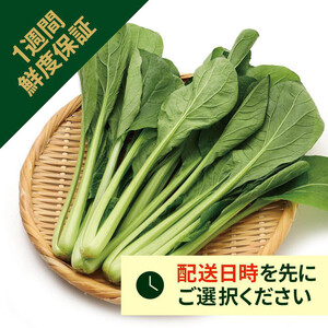 ［鮮度+］埼玉県産 小松菜 200g 1袋