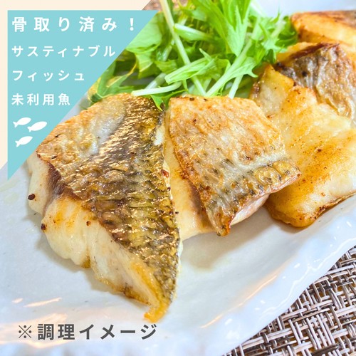 【冷凍】Umiのアトリエ 未利用魚 サスティナブルフィッシュ 愛媛県産ギンダイの切り身  骨取済み 100g