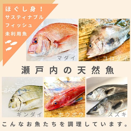 冷凍】Umiのアトリエ 未利用魚 サスティナブルフィッシュ 白身魚使用お
