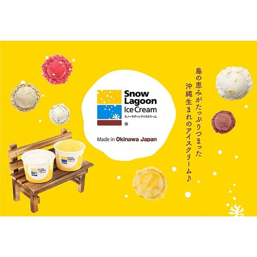 ナンポー Snow Lagoon Ice Cream コクうまAAアイス 130ml