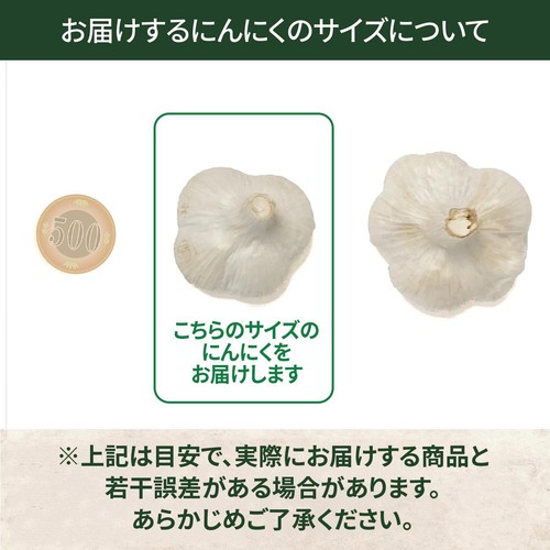 千葉県産　ニンニクの苗　予約注文ページ 有機】千葉県産 にんにく 1個 Green Beans | グリーンビーンズ by AEON