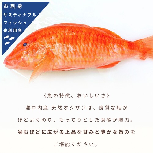 【冷凍】Umiのアトリエ 未利用魚 サステナブルフィッシュ 愛媛県産おじさんの刺身スライス 50g