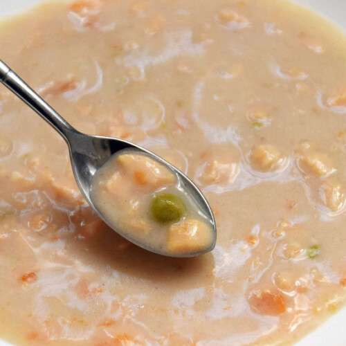 ドギーマン ハヤシ わんちゃんの国産低脂肪牛乳スープごはん ササミと緑黄色野菜入り 80g
