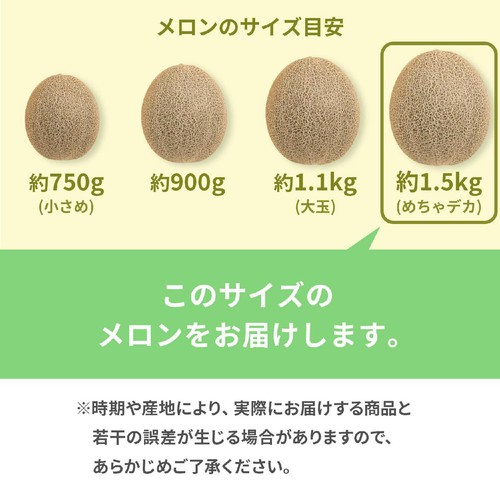 千葉県産 ちはる農園の快晴メロン めちゃデカ 1個