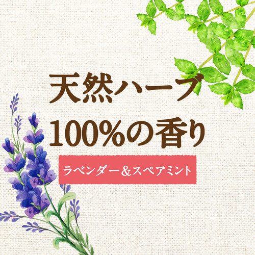 サラヤ アラウ 洗たく用 つめかえ用 1000ml