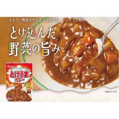 ハウス食品 とけうまカレー 辛口 1人前 170g