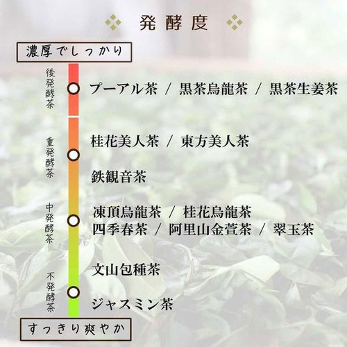 Tokyo Tea Trading 台湾凍頂烏龍茶 ティーバッグ 1.5g x 20包