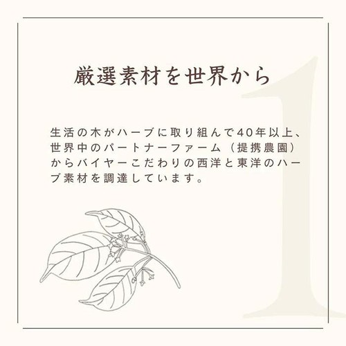 生活の木 私の30日茶 蒼のメグスリノキブレンド 7個入