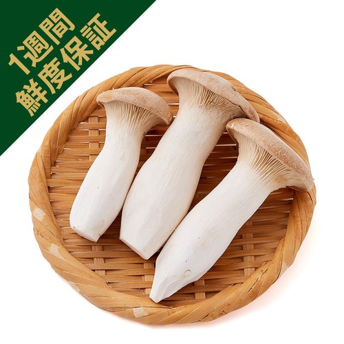 エリンギページ 鮮度+］新潟県産 雪国えりんぎ 100g 1パック Green Beans | グリーン