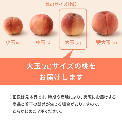 福島県産 桃 簡易箱 1.2kg 大玉