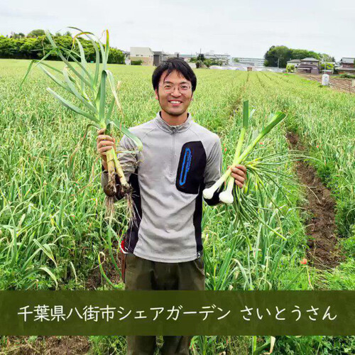 【有機】千葉県産 こぶりにんにく 100g(4-5個)