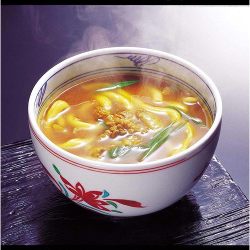 うす家 讃岐小豆島カレー手延うどん【冷凍】 2食入 1000g