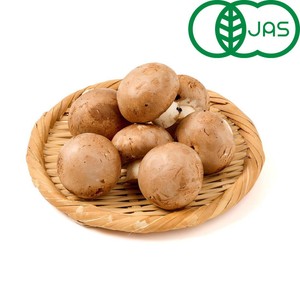 有機】山形県産 マッシュルーム(ブラウン) 150g 1パック Green Beans