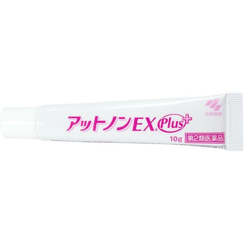 【第2類医薬品】アットノンEXプラス 10g