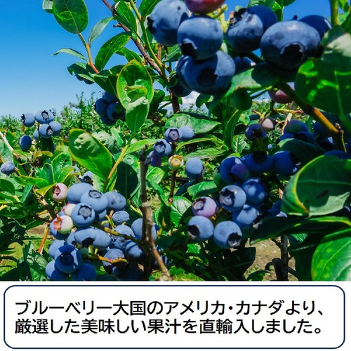 野田ハニー食品工業 ブルーベリー100%ジュース 500ml Green Beans